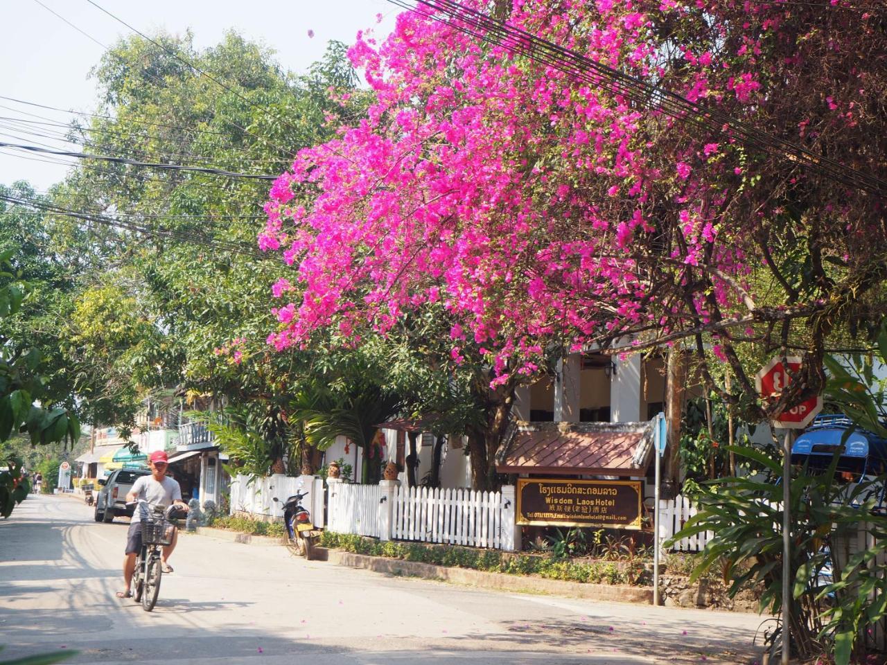 Wisdom Laos Hotel Luang Prabang Ngoại thất bức ảnh